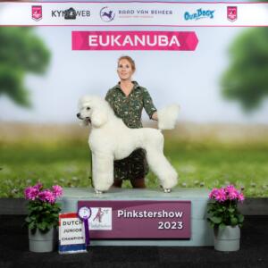 Show Pinkstersshow Gorichem 28 05 2023 Elin Kynoweb