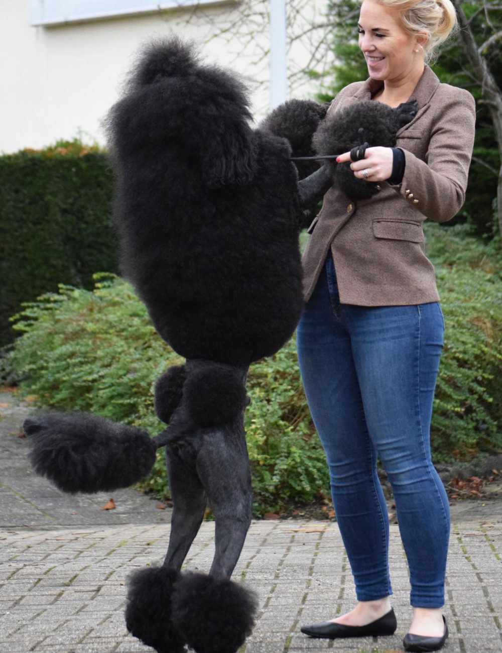 Marcus 15 11 2021 66jpg